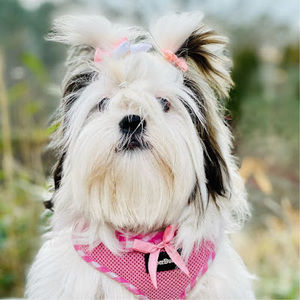 Meet your Posher, Mariana